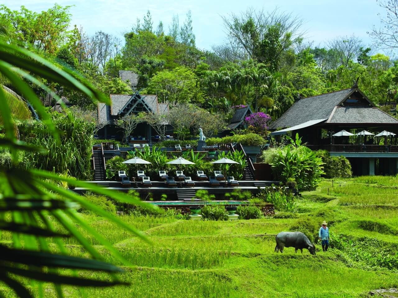 four seasons chiang mai reisfeld 