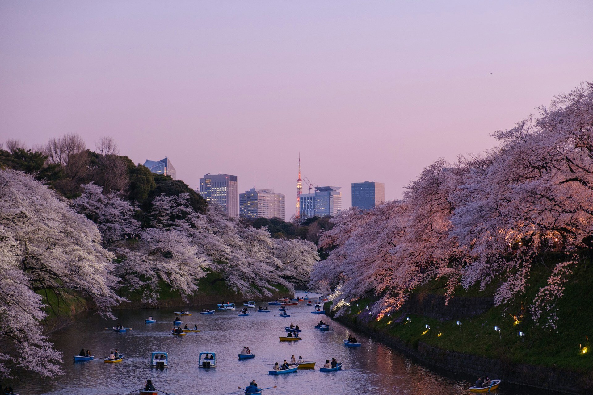 Japan-Natur-the-family-project (5)