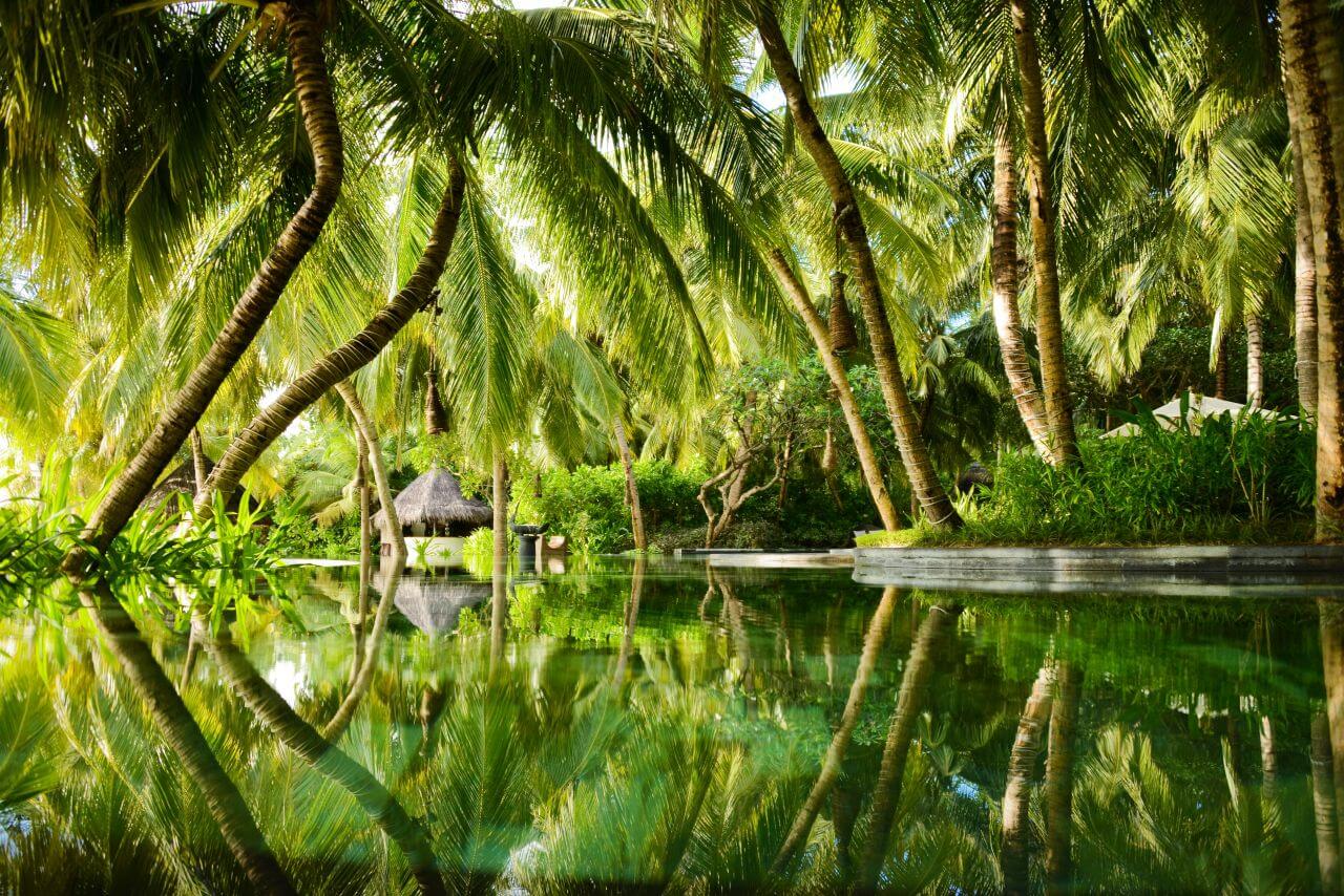 One and Only Reethi Rah Palmenoase