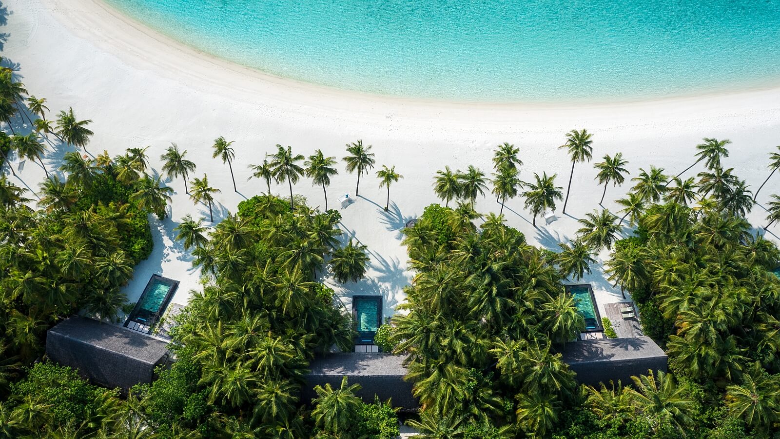 OneAndOnly ReethiRah Beach Pool Villen