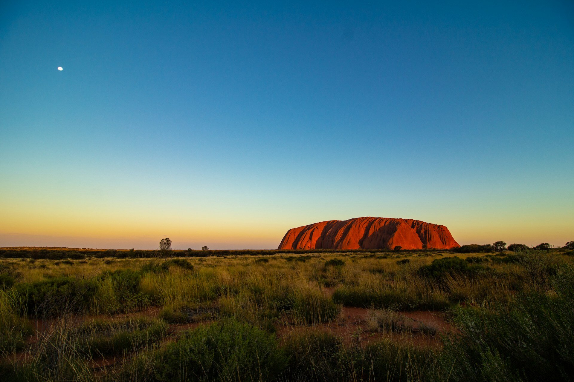 Sonnenaufgang am Ayers rock