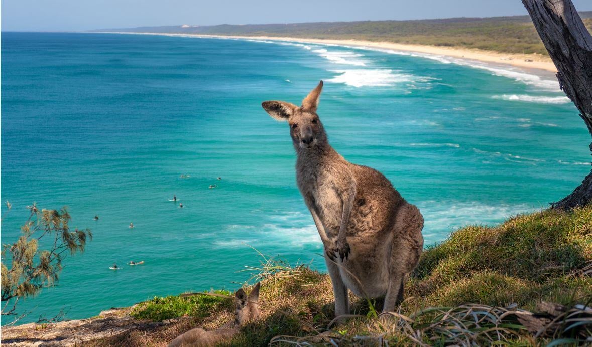 Kangaroo Island