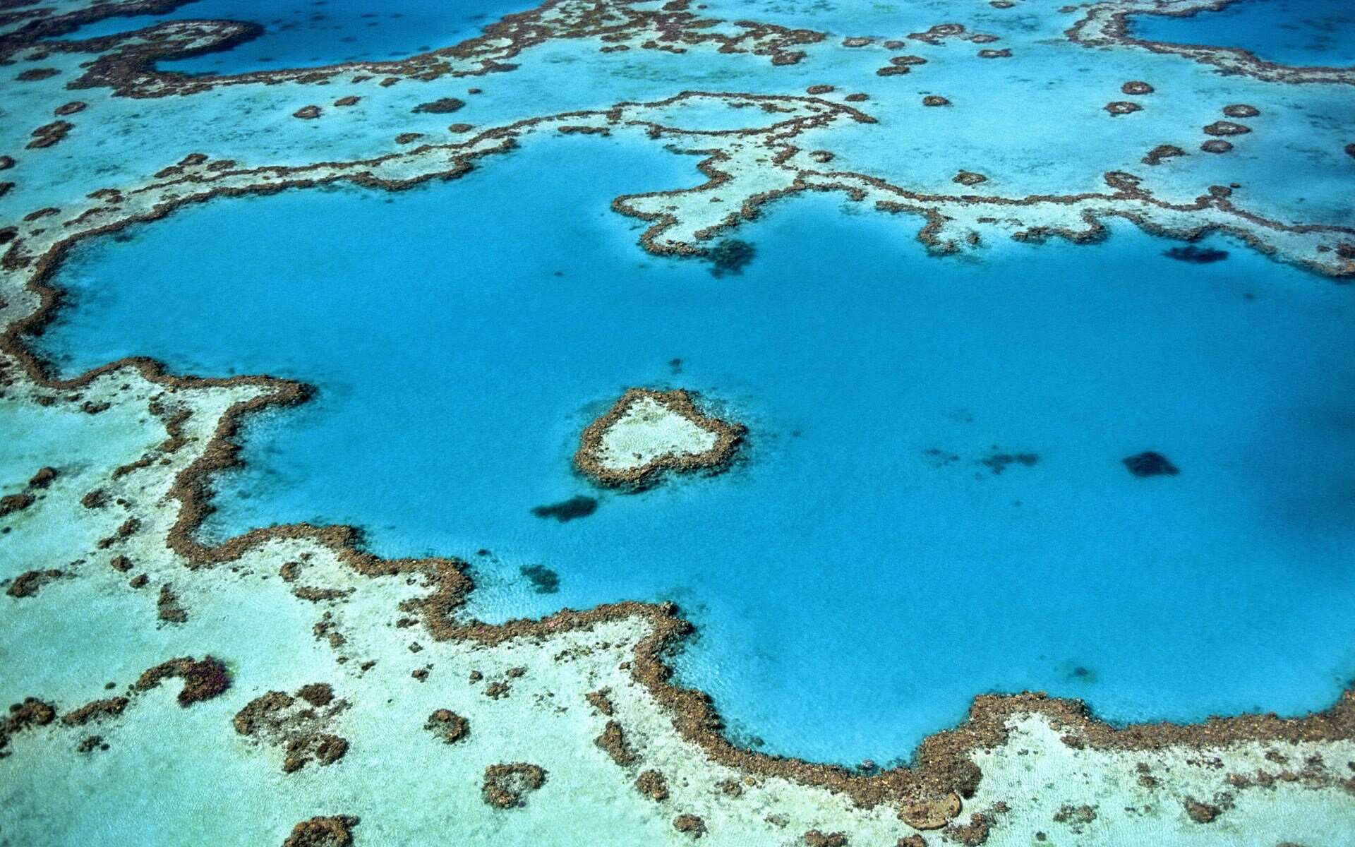 Luftaufnahme vom Great Barrier Reef