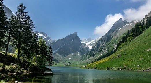 Schweiz See ALpenpanorama