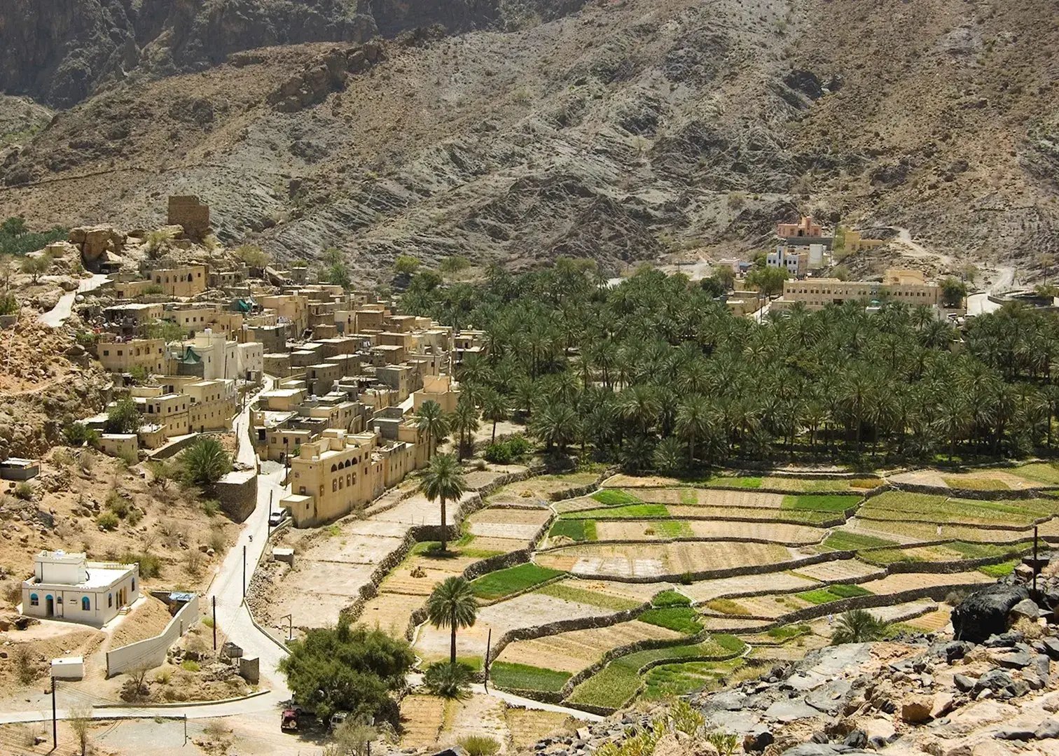 Jabal Akhdar im grünen Gebirge