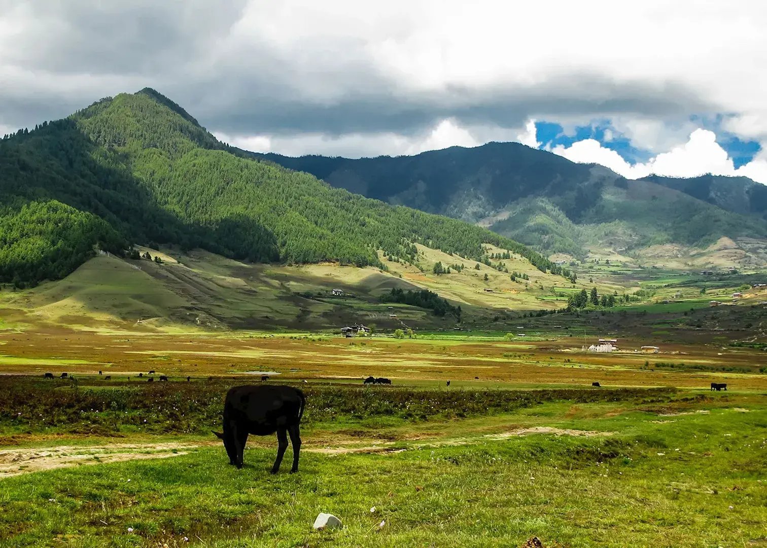 phobjikha valley bhutan