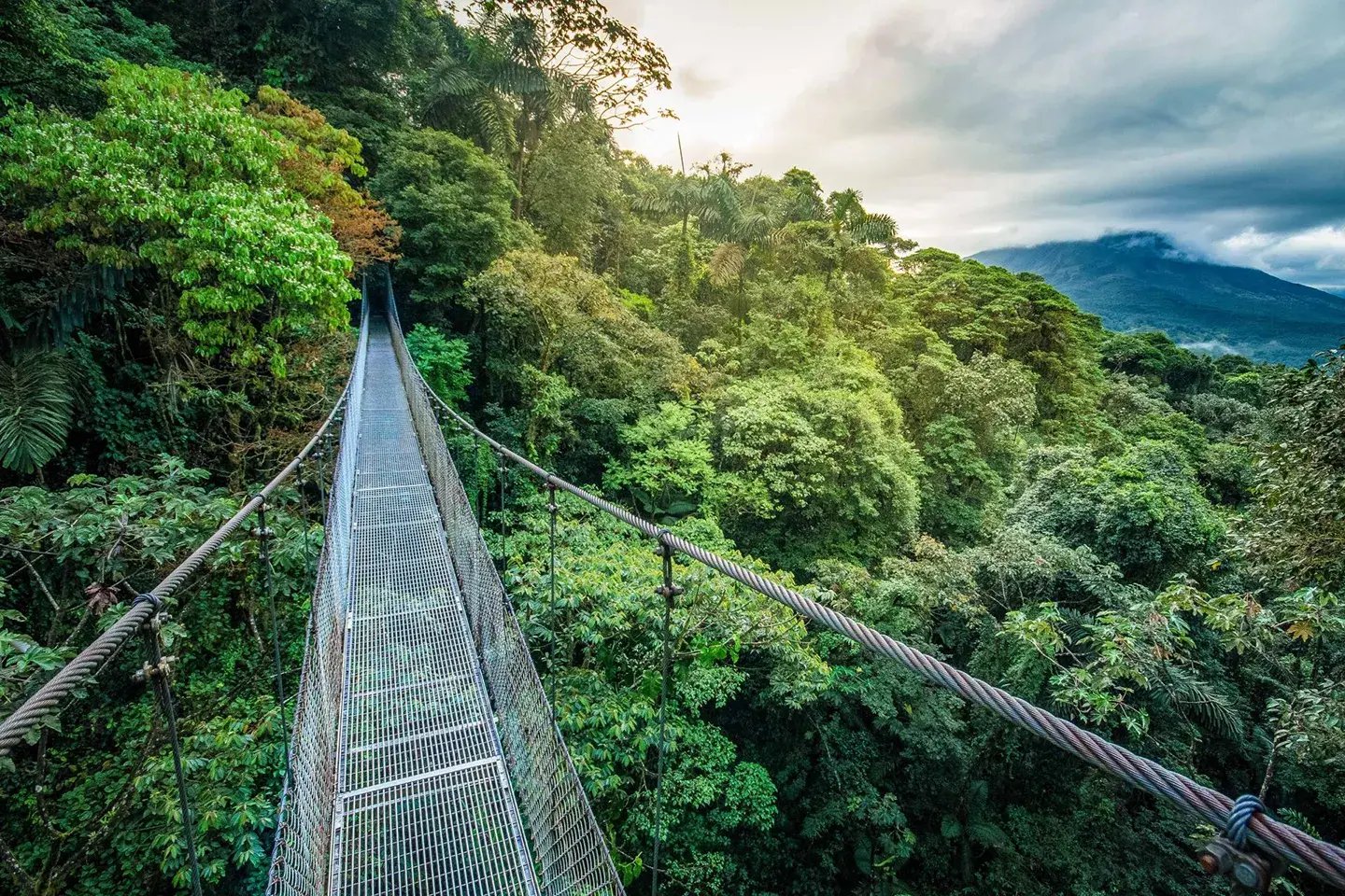 monteverde costa rica