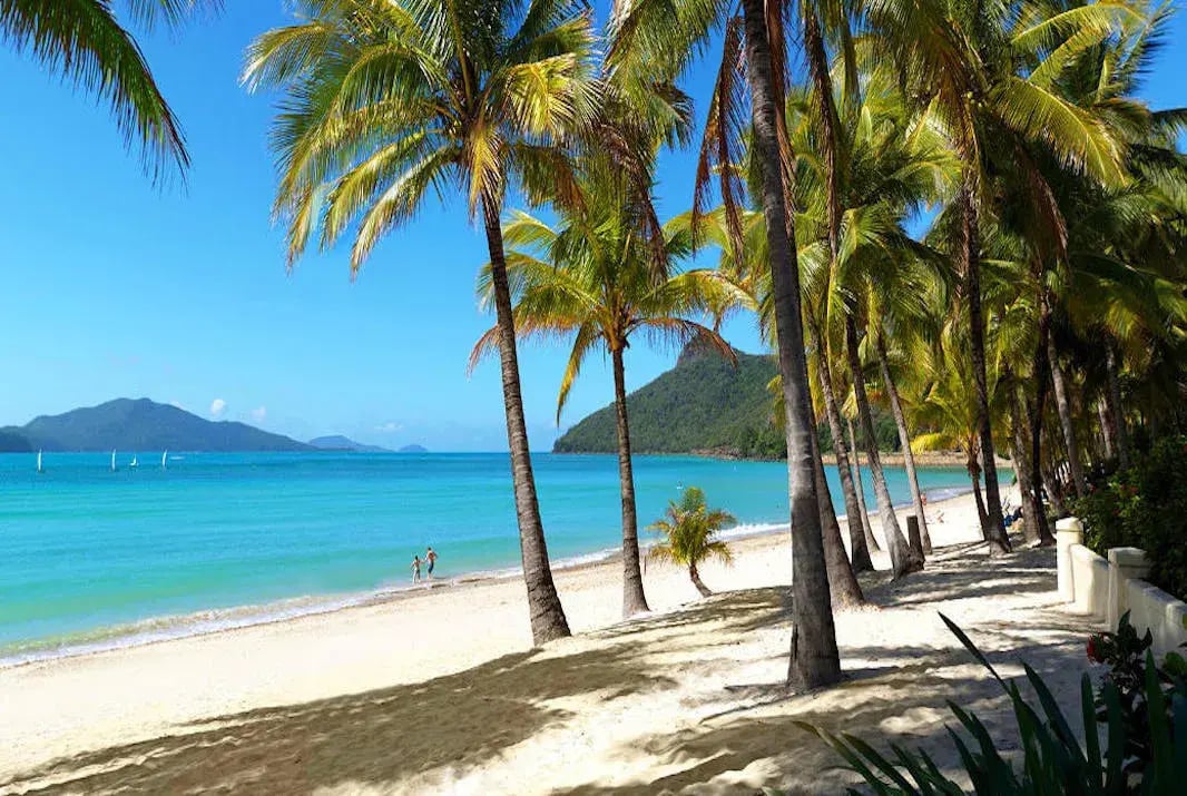 Strand mit vielen Palmen und traumhaft blauem Meer