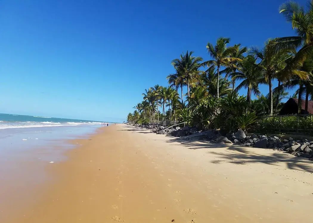 Strand mit Palmen und Meer