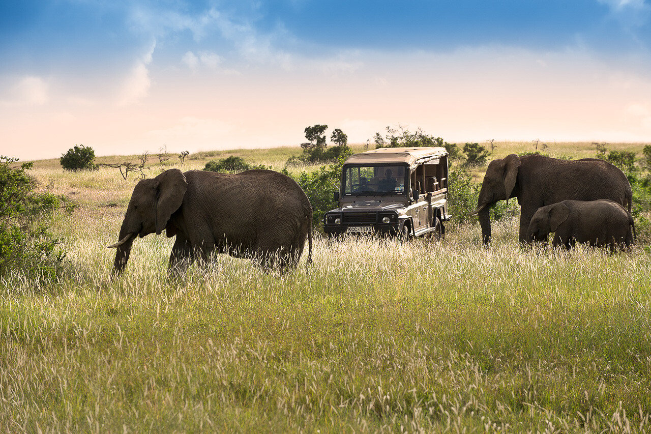 Arijiju Lodge Familienluxusreisen TheFamilyProject Game Drive