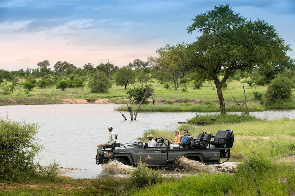 Cheetah Plains Safari Game Drive 