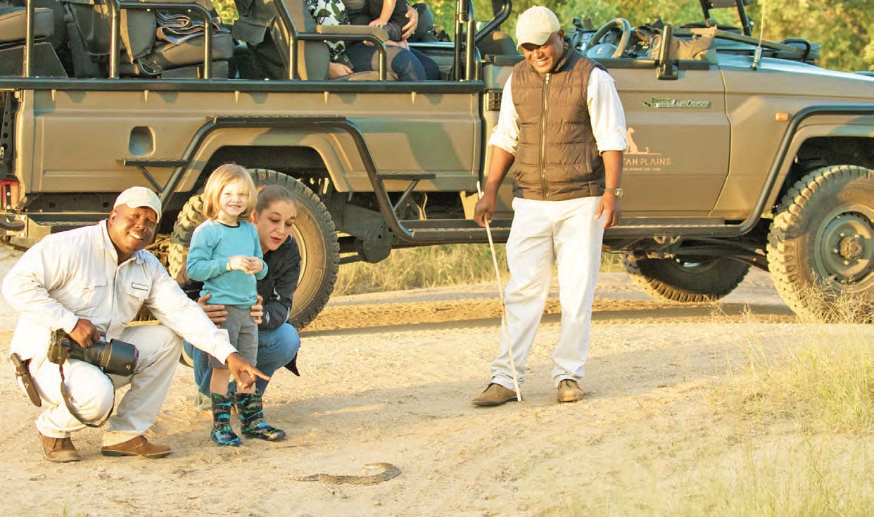 Cheetah Plains Safari Tour mit Familie und Guide 