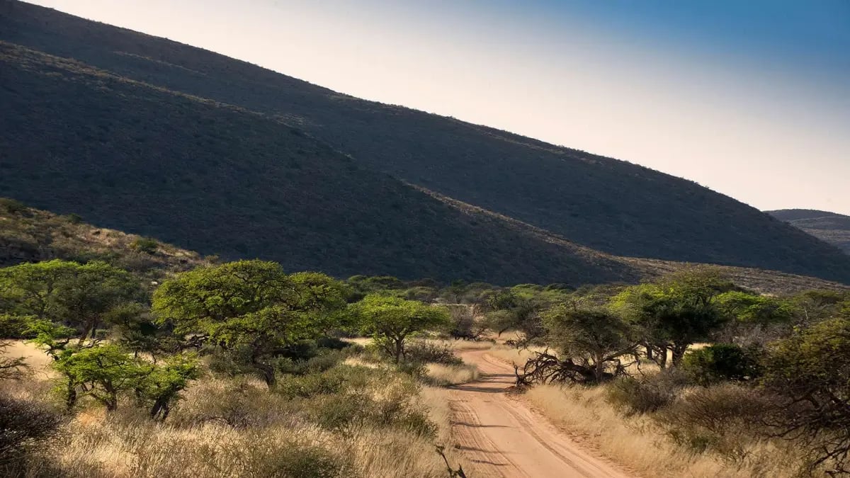 Tswalu Tarkuni Kalahari Familienluxusreisen TheFamilyProject Wüste