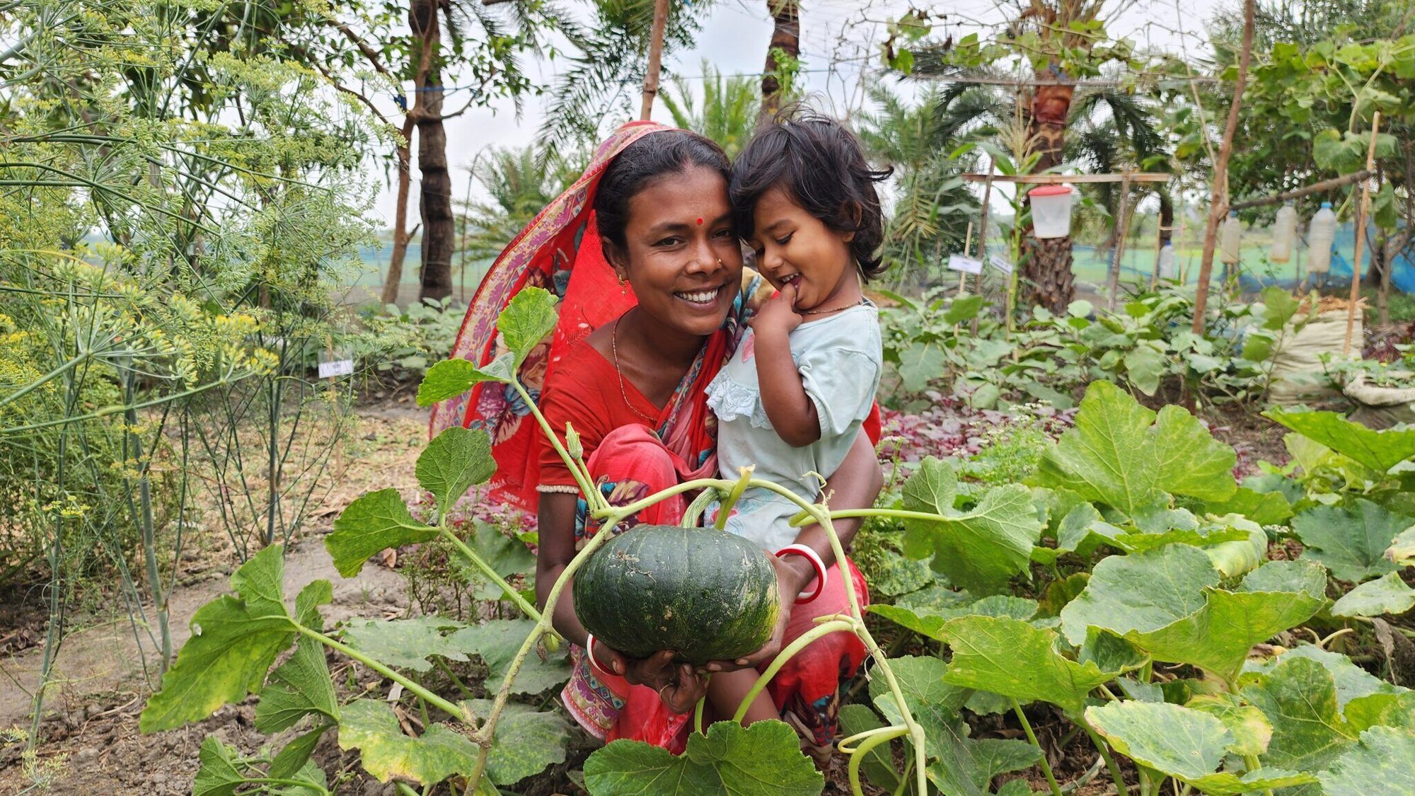 Soneva Foundation Anbau Pflanzen