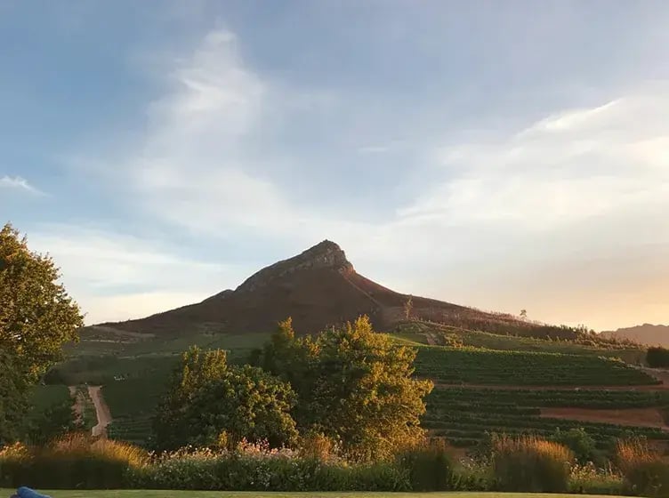 delaire graff estate stellenbosch sudafrika afrika the family project luxus privatbilder ausblick weinberg