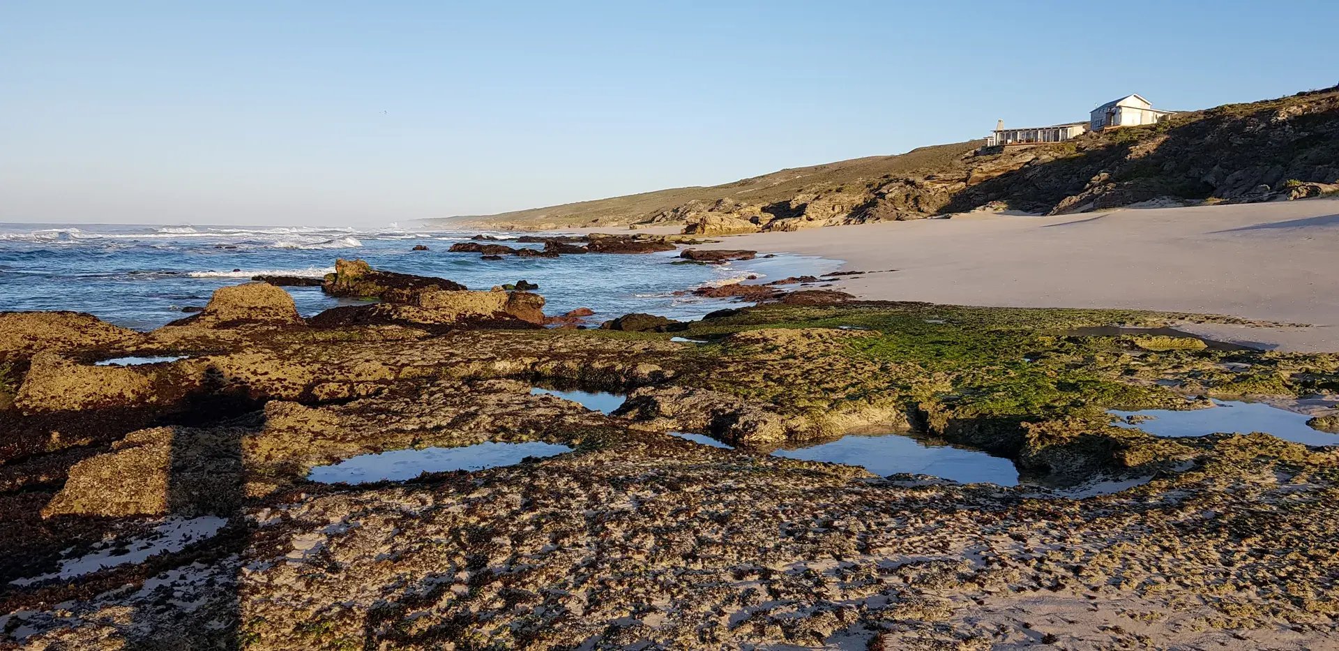 Ebbe am Strand, Algen und Gesteinsformationen sind freigelegt.