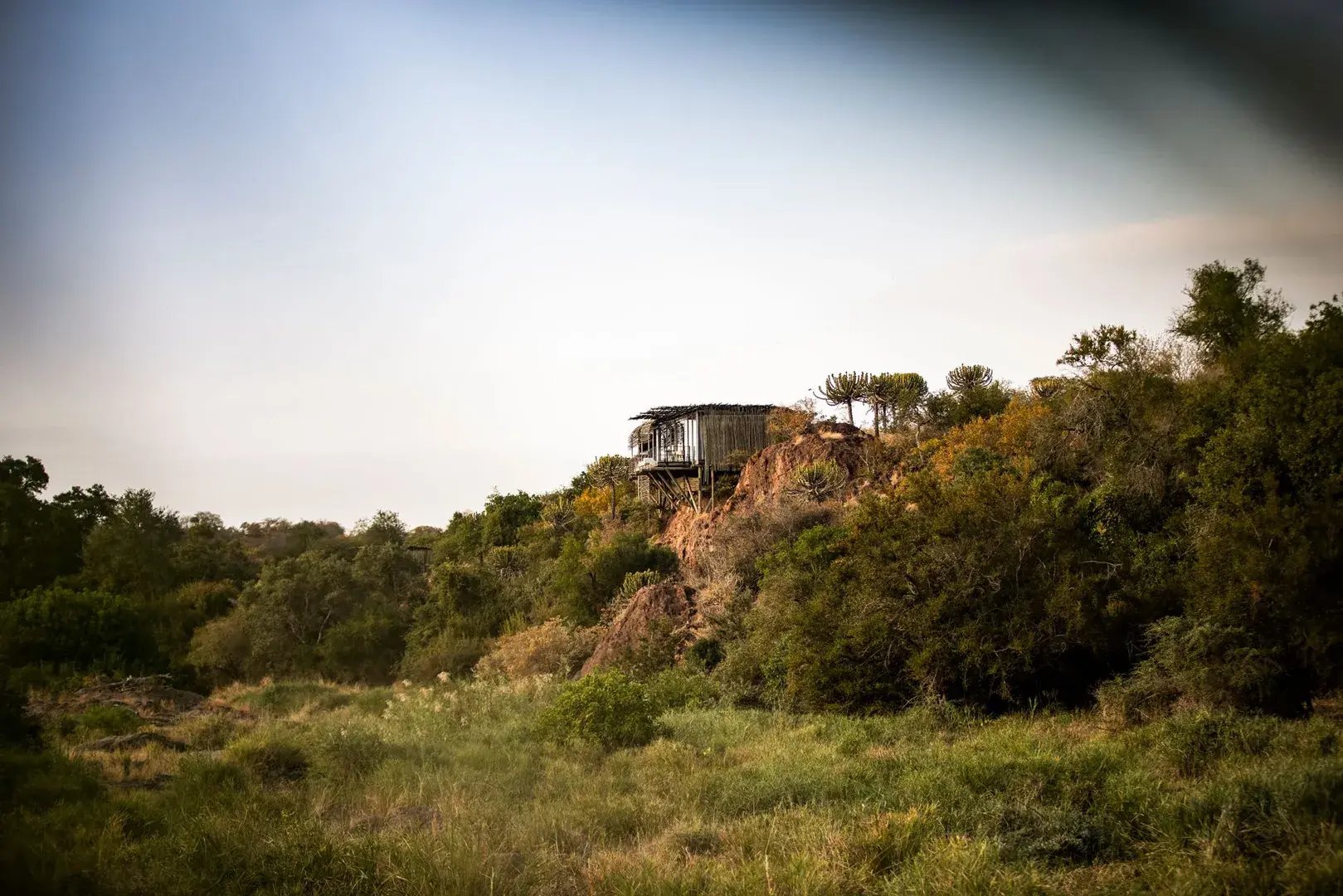 singita lebombo lodge kruger national park sudafrika afrika landschaft exklusiv the family project luxus familie kinder reisen