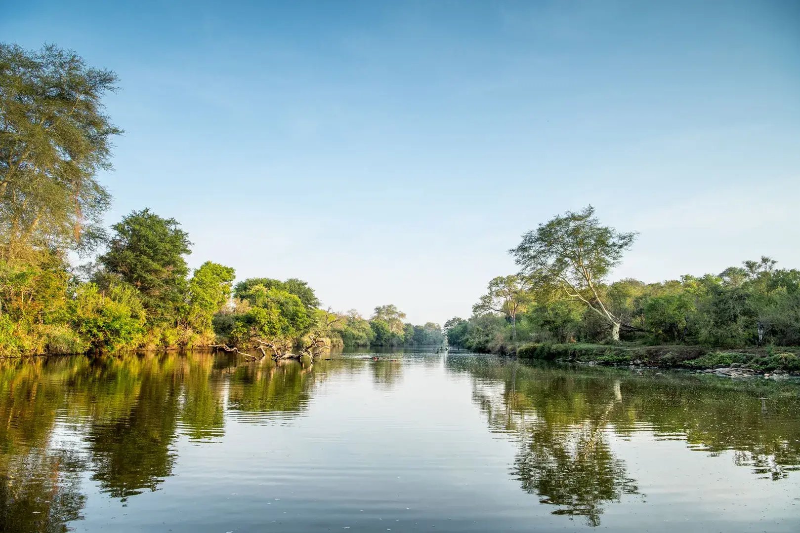 Weite Flusslandschaft mit grünen Ufern, in der Ferne sind Nilpferde.