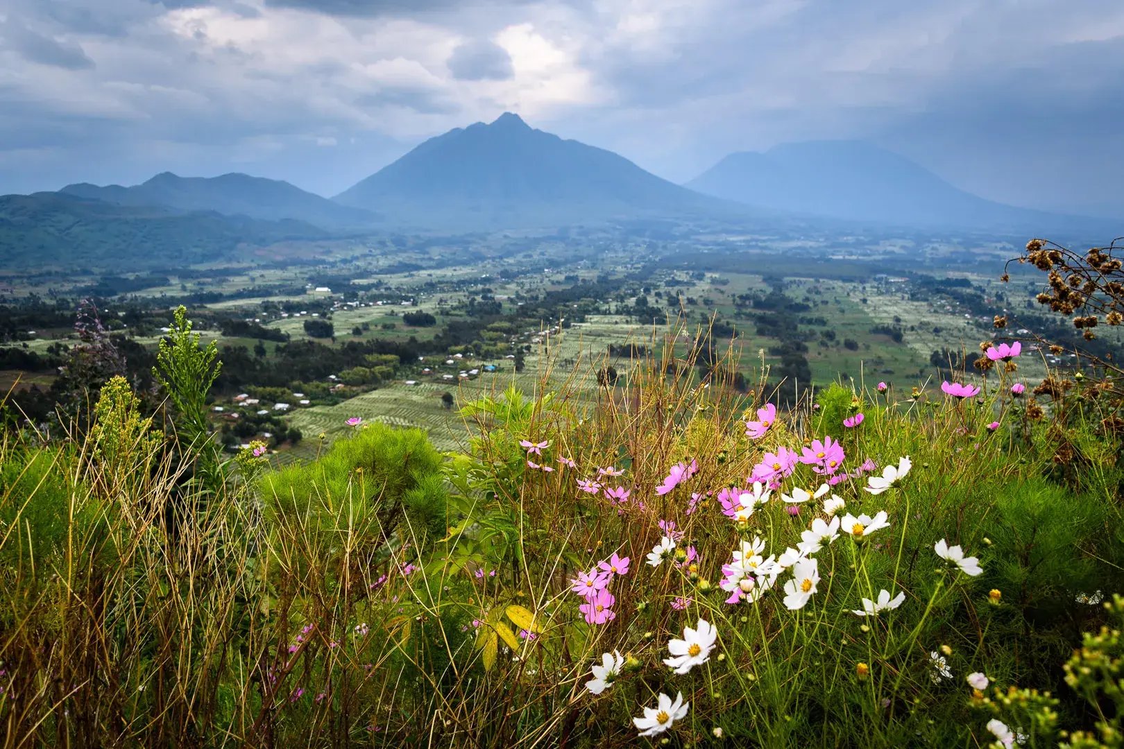 Fruchtbare Landschaft mit Blumen im Vordergrund und Bergen im Hintergrund.