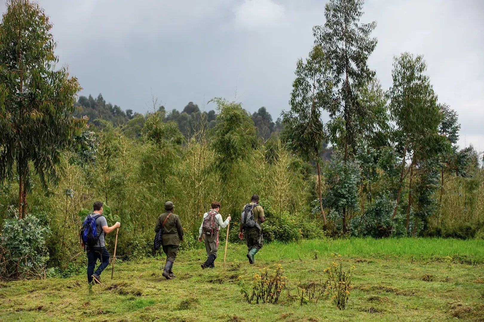 Vier Menschen laufen durch die Landschaft in Richtung Dschungel von Ruanda.