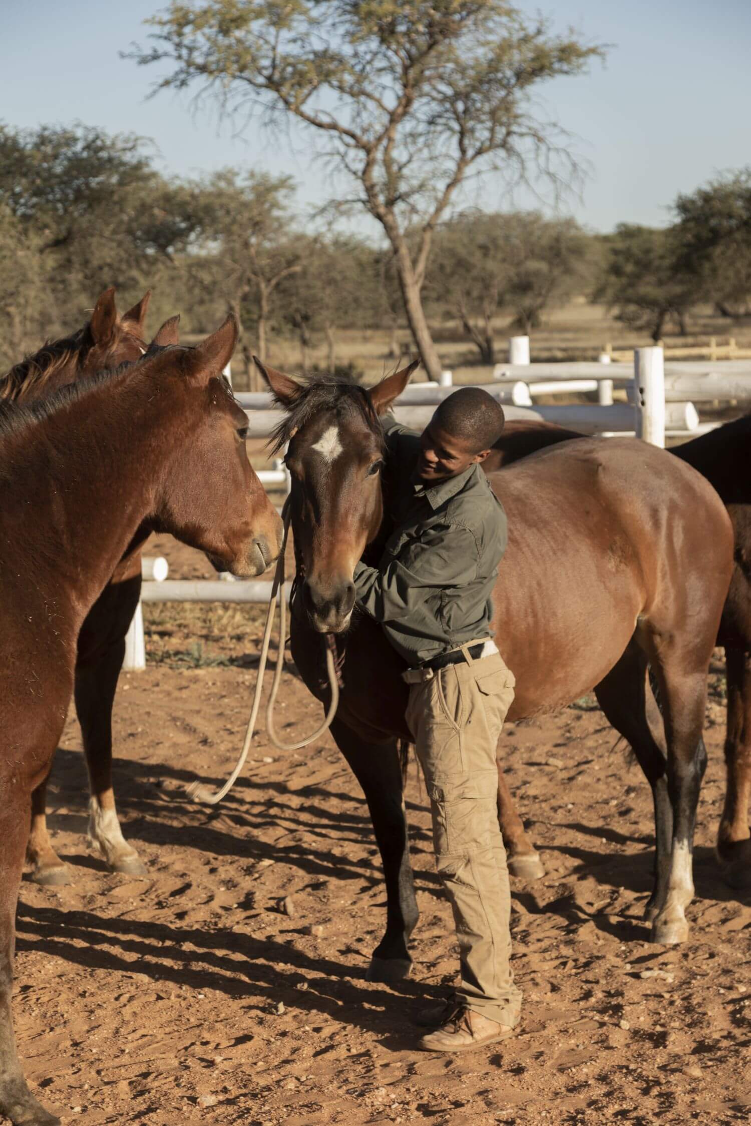 Gmundner Lodge Namibia Familienluxusreisen TheFamilyProject Reiten