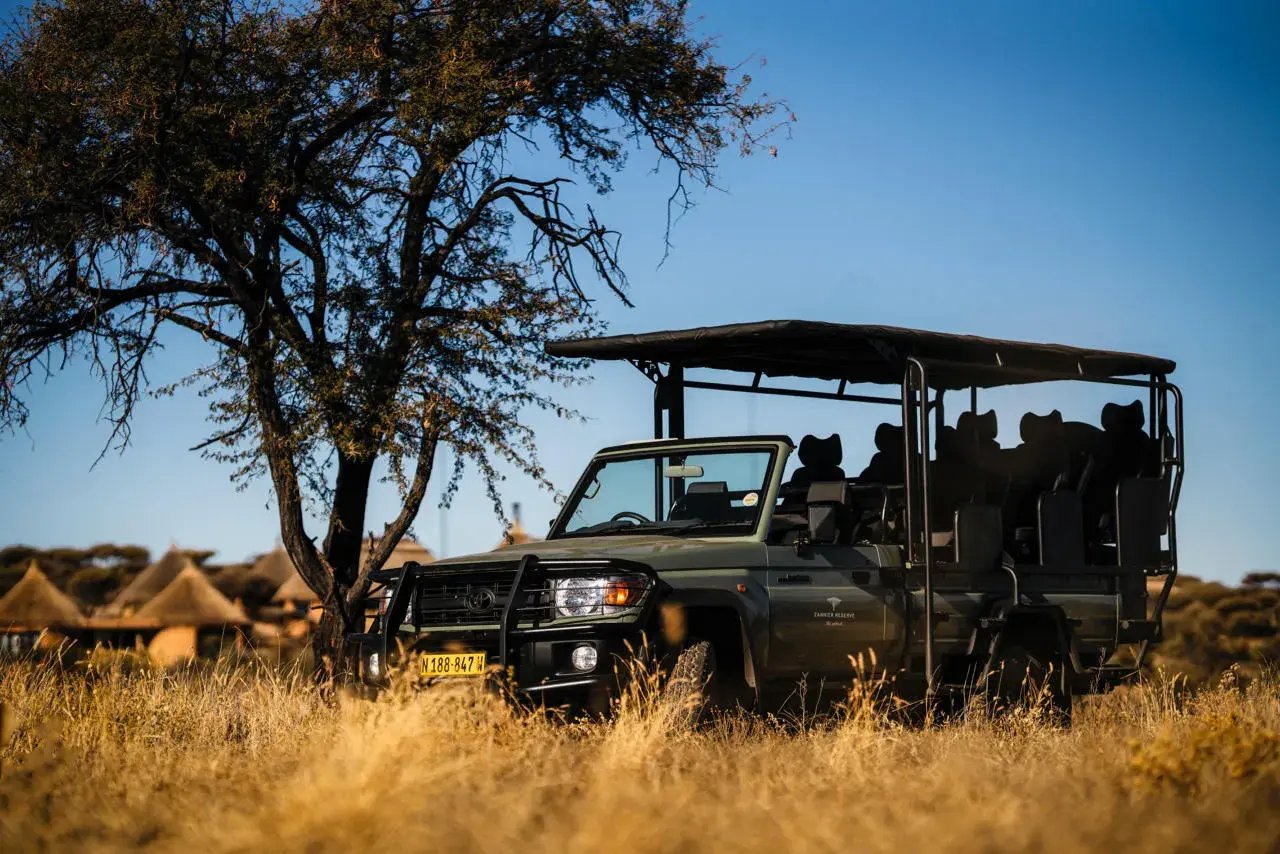 Safarijeep unter einem Baum.