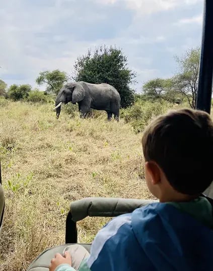 chem chem lodge tarangire tansania afrika exklusiv the family project privaterbilder safari elefant