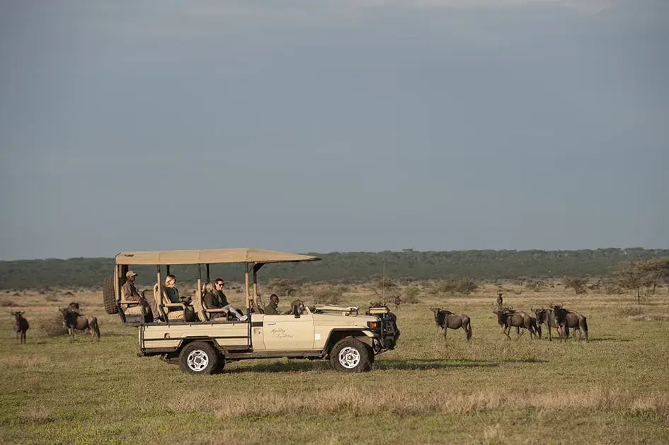 mwiba-lodge-mwiba-wildlife-reserve-tansania-afrika-game-drive-exklusiv-the-family-project-kinderfreundlich-familie-luxus-reisen