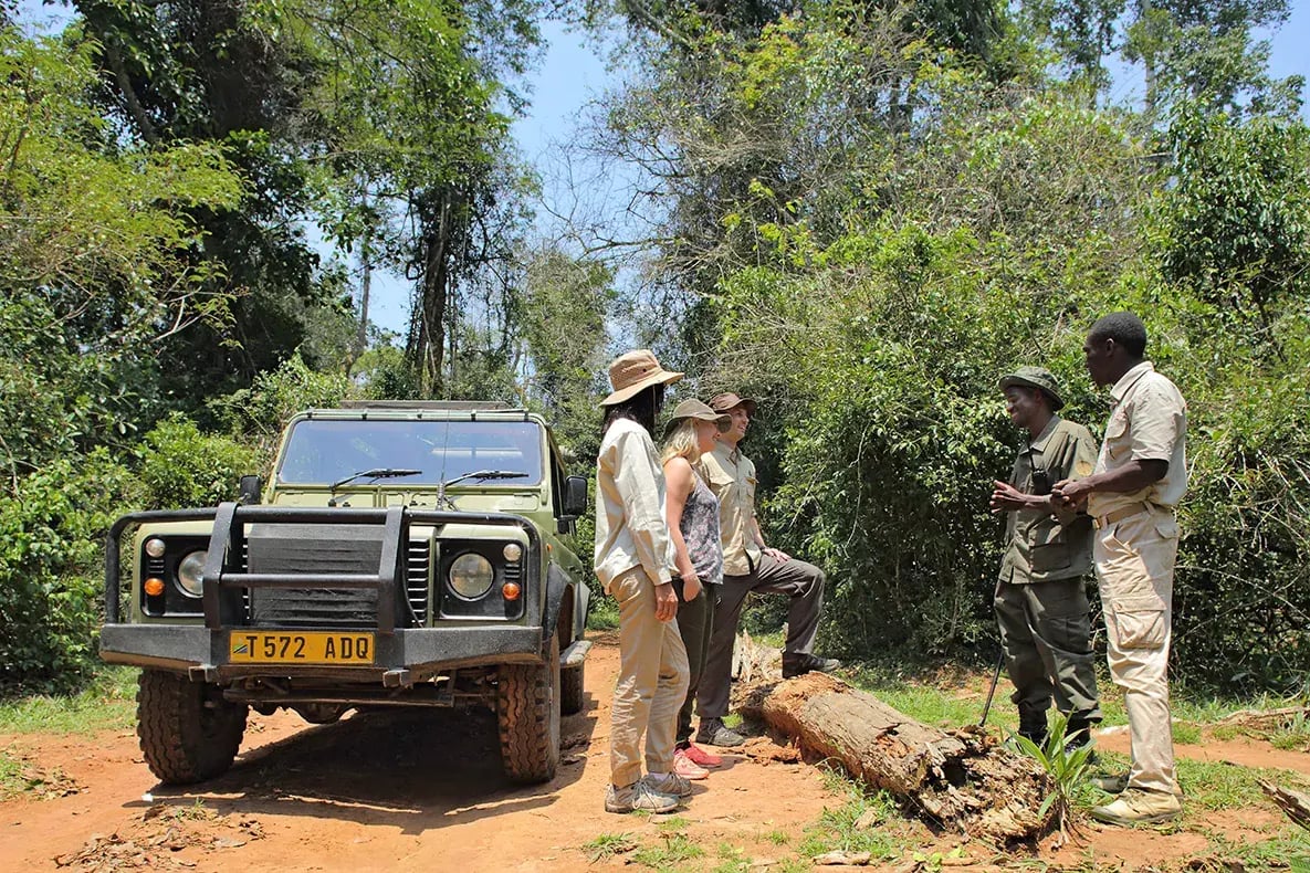 Auf einer Safari stehen Touristen nehmen dem Jeep, während der Guide ihnen etwas erklärt.