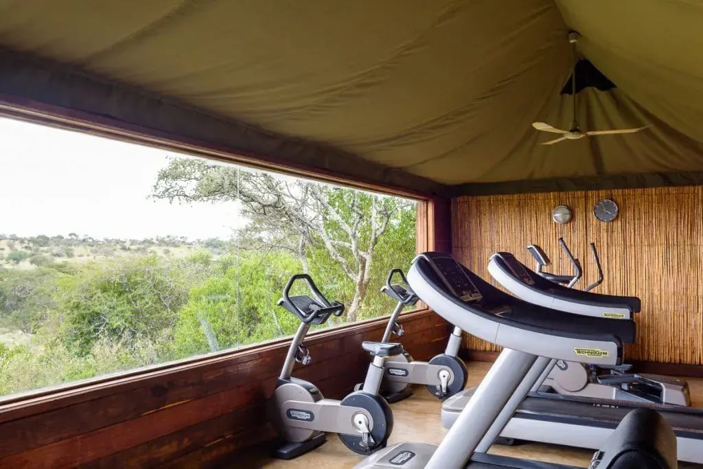 Fitnessbereich in einer Safarilodge mit verschiedenen Fitnessgeräten und Blick in die Wildnis.