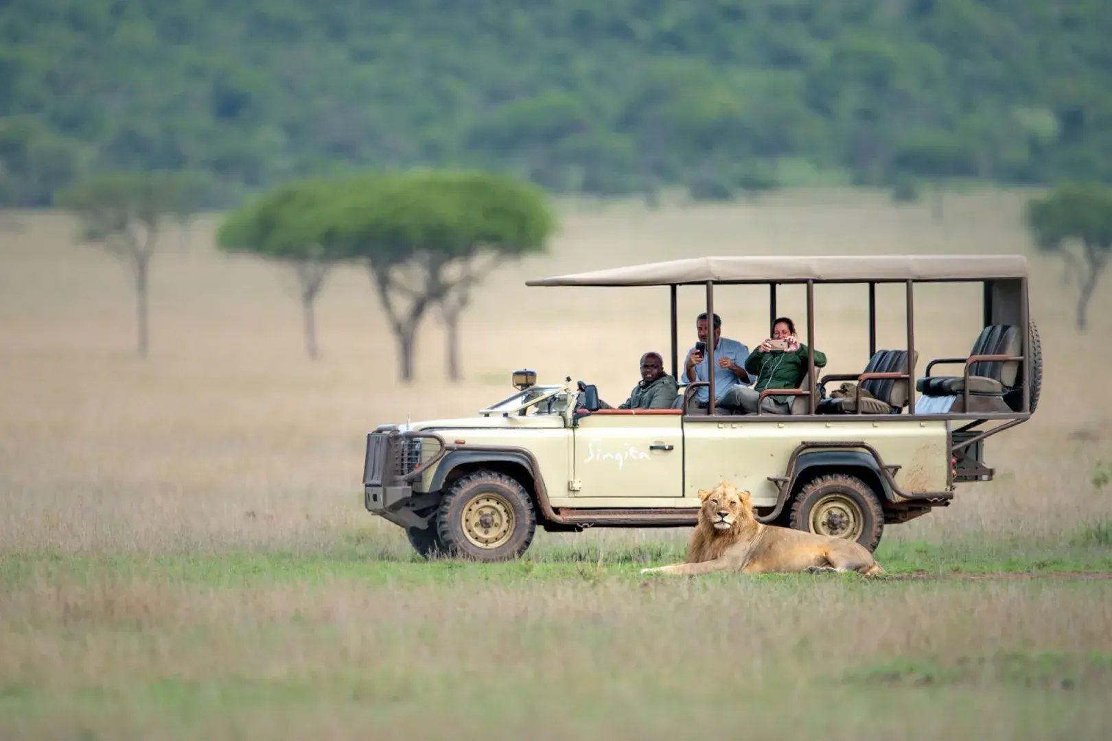 Ein Safarijeep mit Gästen hält bei einem Löwenmännchen, das im Gras liegt.