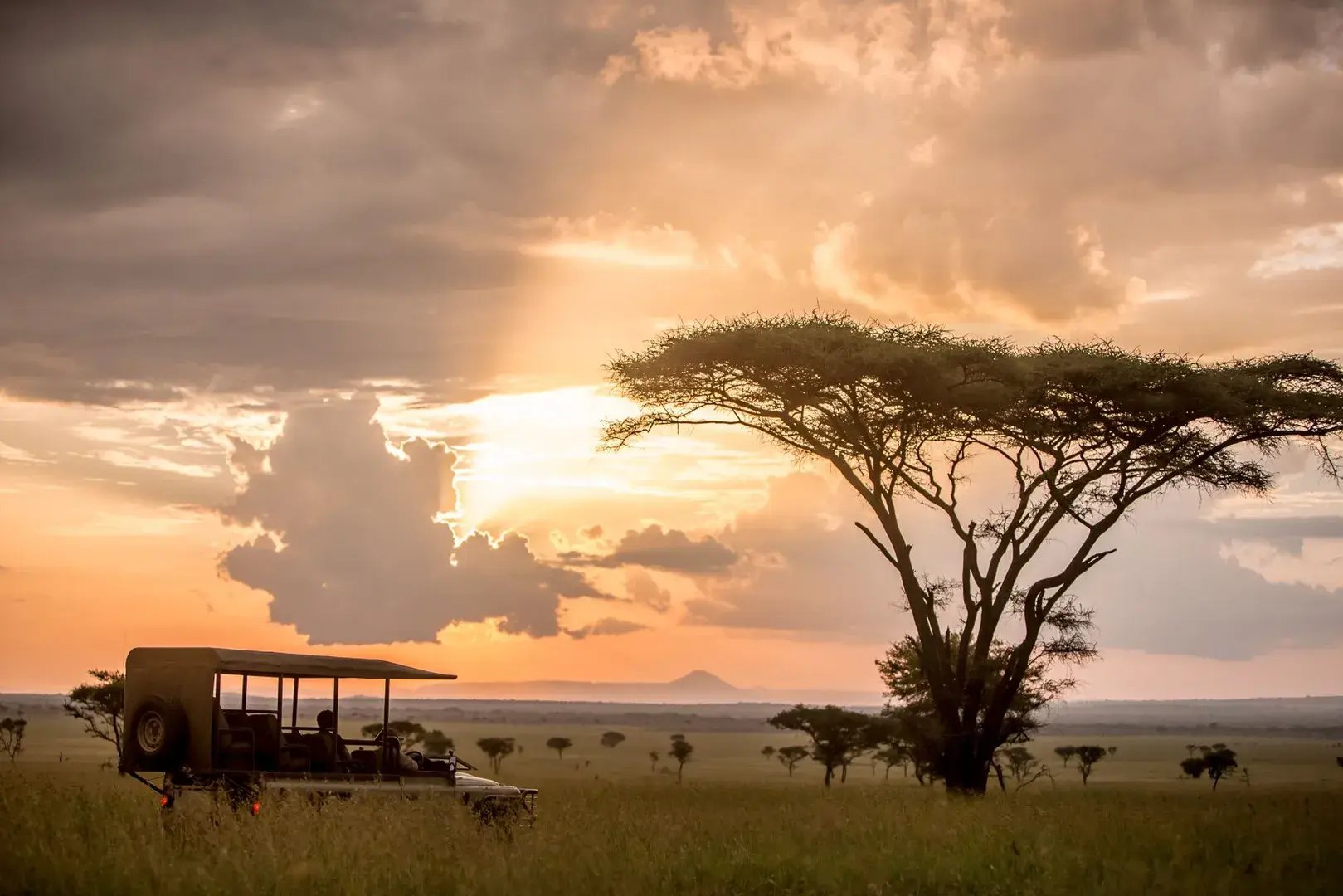 Sonnenaufgang in der Serengeti, ein Jeep steht an einem Baum.