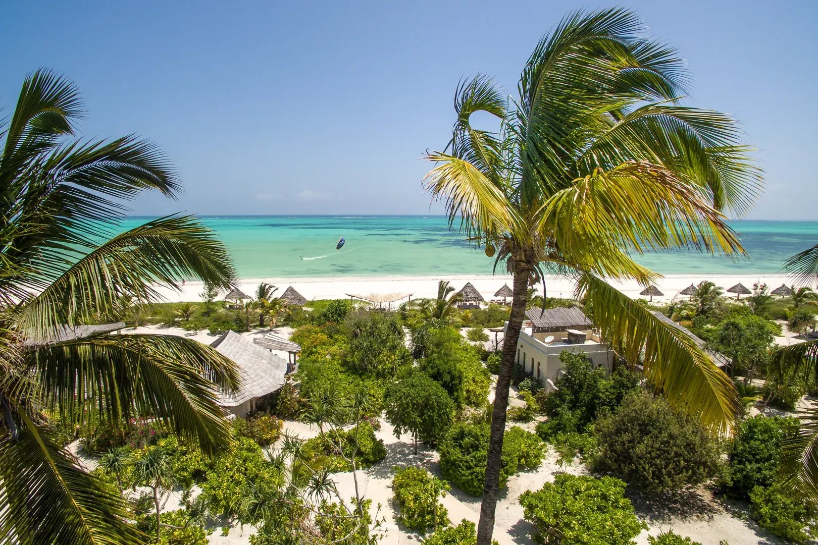 Palmen und üppige Vegetation am weißen Strand und blauen Meer von Sansibar.