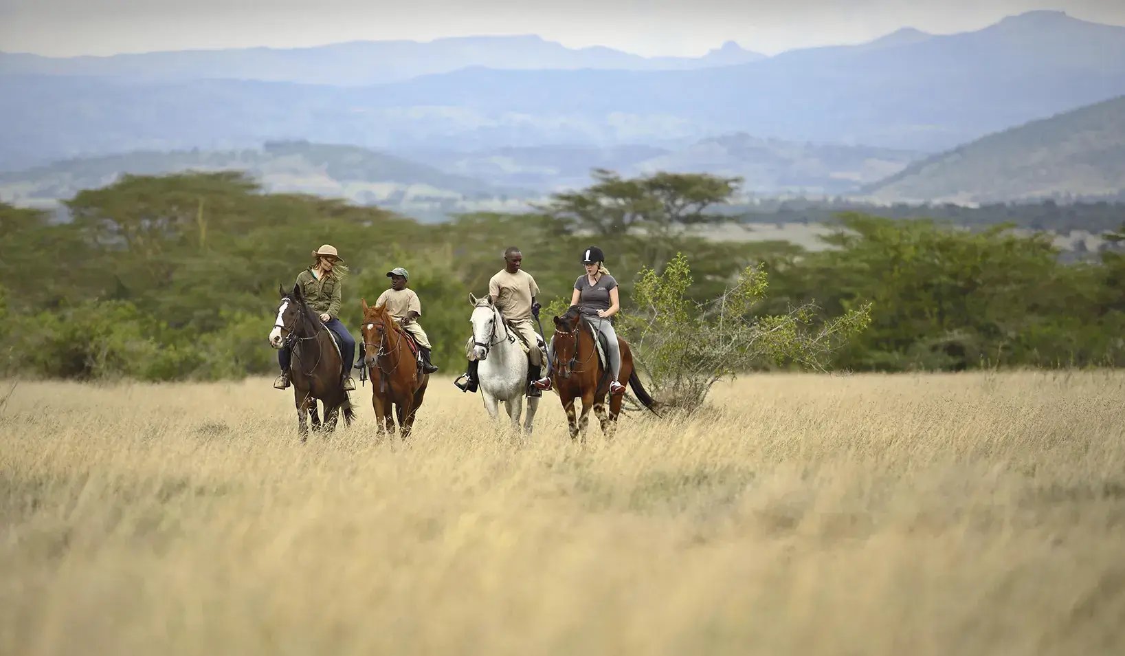 solio lodge laikipia kenia afrika aktivitaeten pferde reiten the family project luxusreise familie kinder