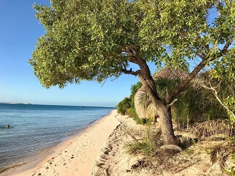 azura benguerra bazaruto archipel mosambik afrika the family project privatbilder strand meer ergebnis