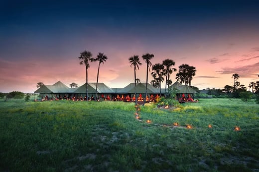 1 jacks camp makgadikgadi botswana familie kinder familienreisen the family project urlaub sonnenaufgang palmen zelte weg