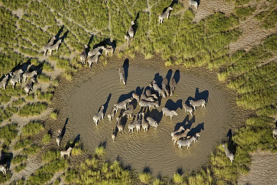 san camp makgadikgadi botswana afrika the family project familienreise kinder luxus wildlife migration