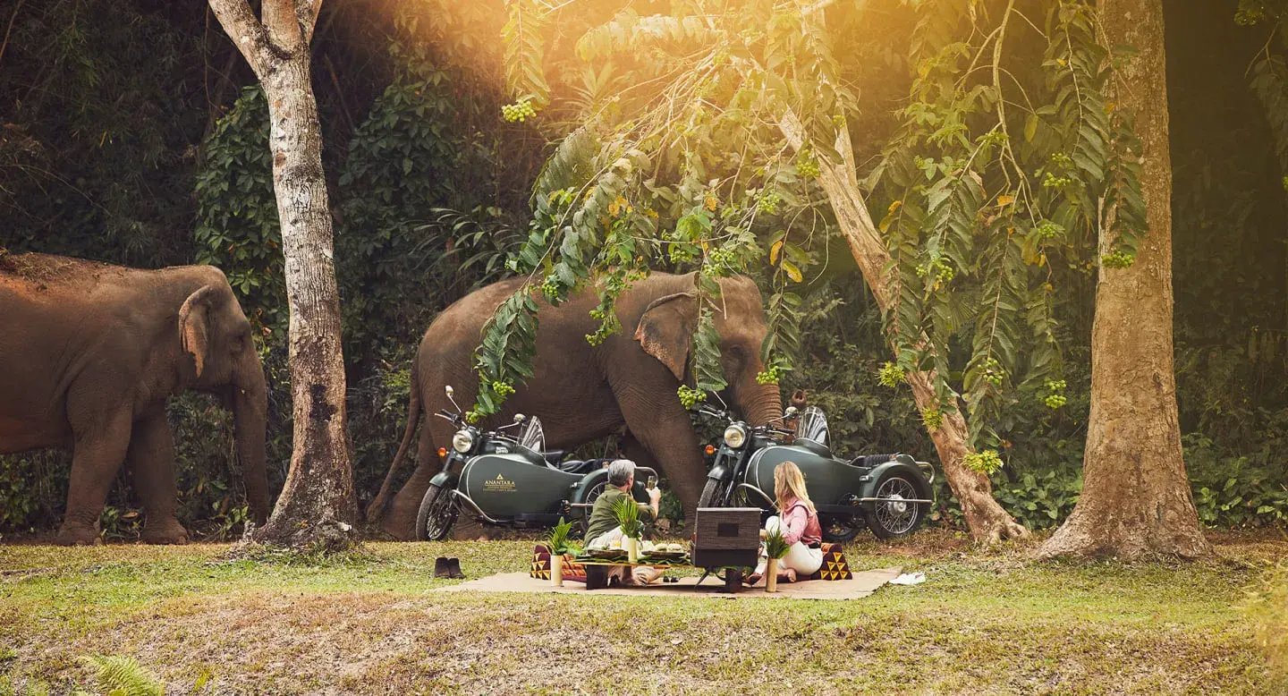 1 asien thailand elephantcamp the family project safari urlaub familie luxus kinder natur authentisch pool