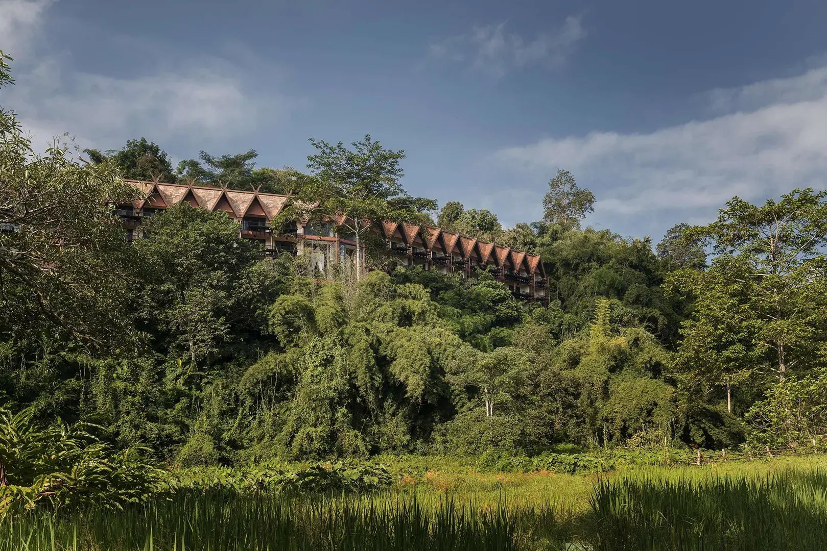 asien thailand elephantcamp the family project safari urlaub familie luxus kinder natur erlebnis 3