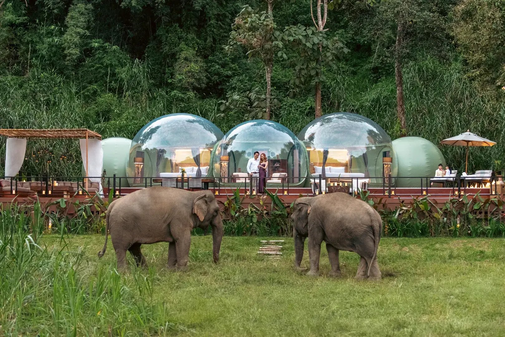 asien thailand elephantcamp the family project safari urlaub familie luxus kinder natur erlebnis