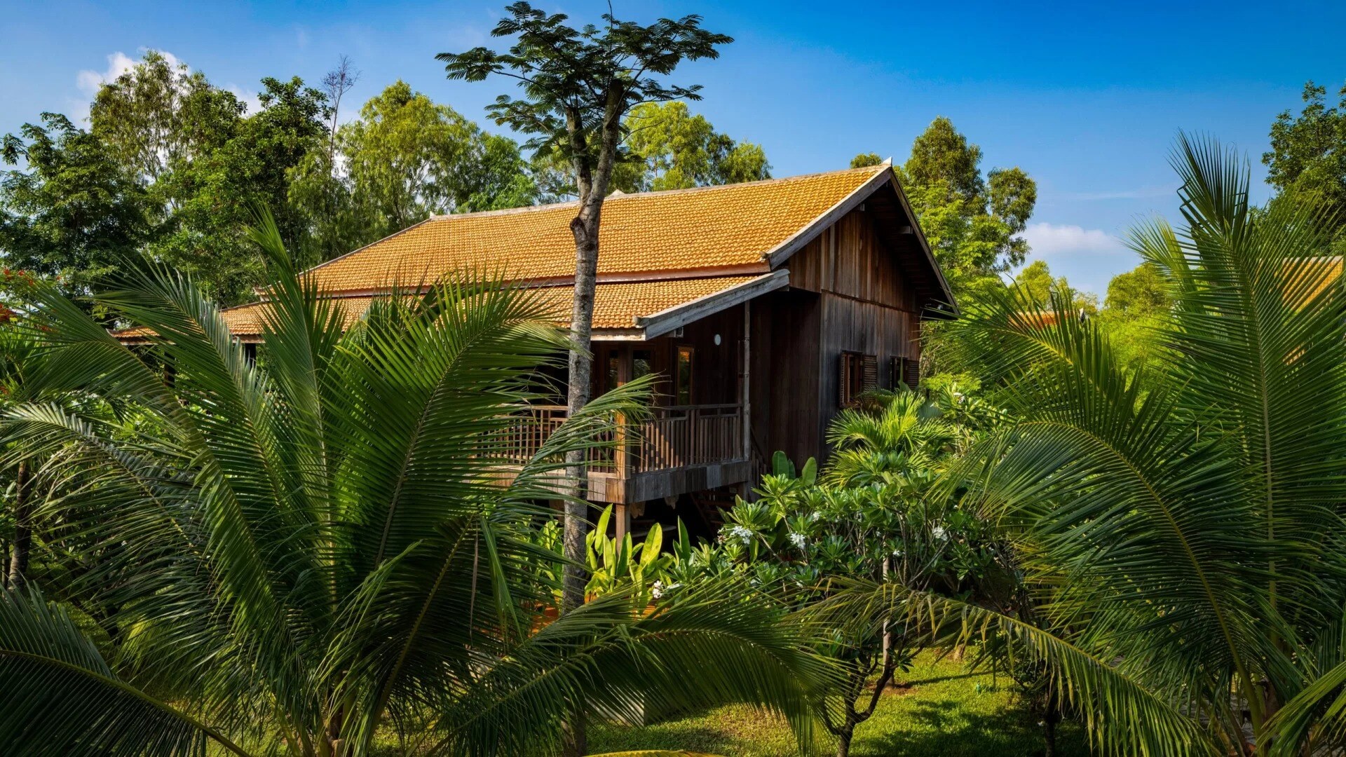 gecko-house-familienluxusreisen hütte zwischen den bäumen