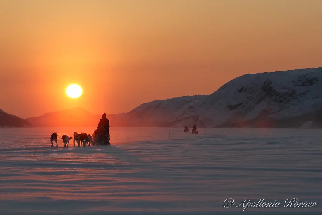 Snow Hotel Husky Fahrt