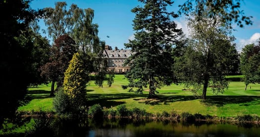 Durch einen Park mit Bäumen hindurch ist ein Schloss zu erkennen.