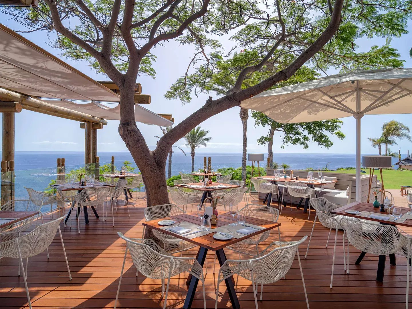 Restaurant auf einer Terrasse mit Baum und Blick aufs Meer.