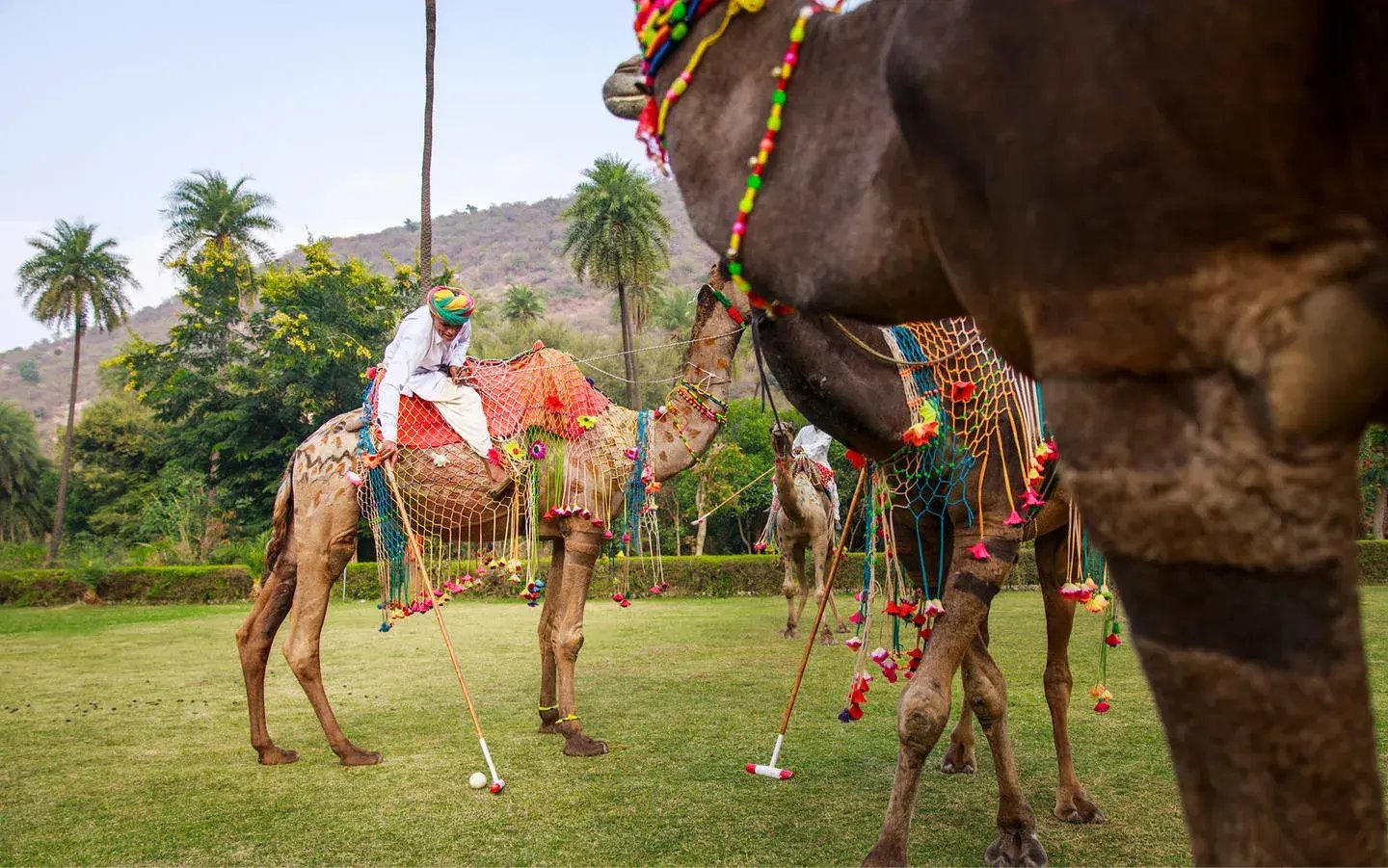 amanbagh alwar indien indischer subkontinent pool terrasse exklusiv the family project familie luxus reisen kinder