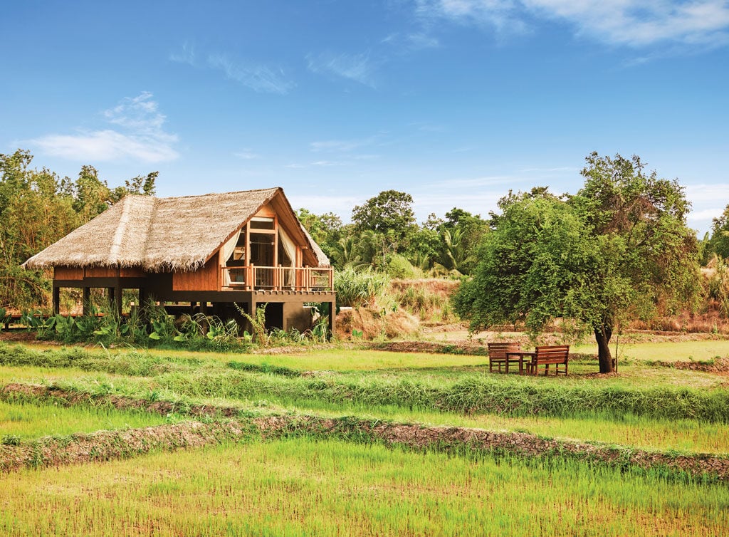 Jetwing Vil Uyana Villa and sitting place under a tree