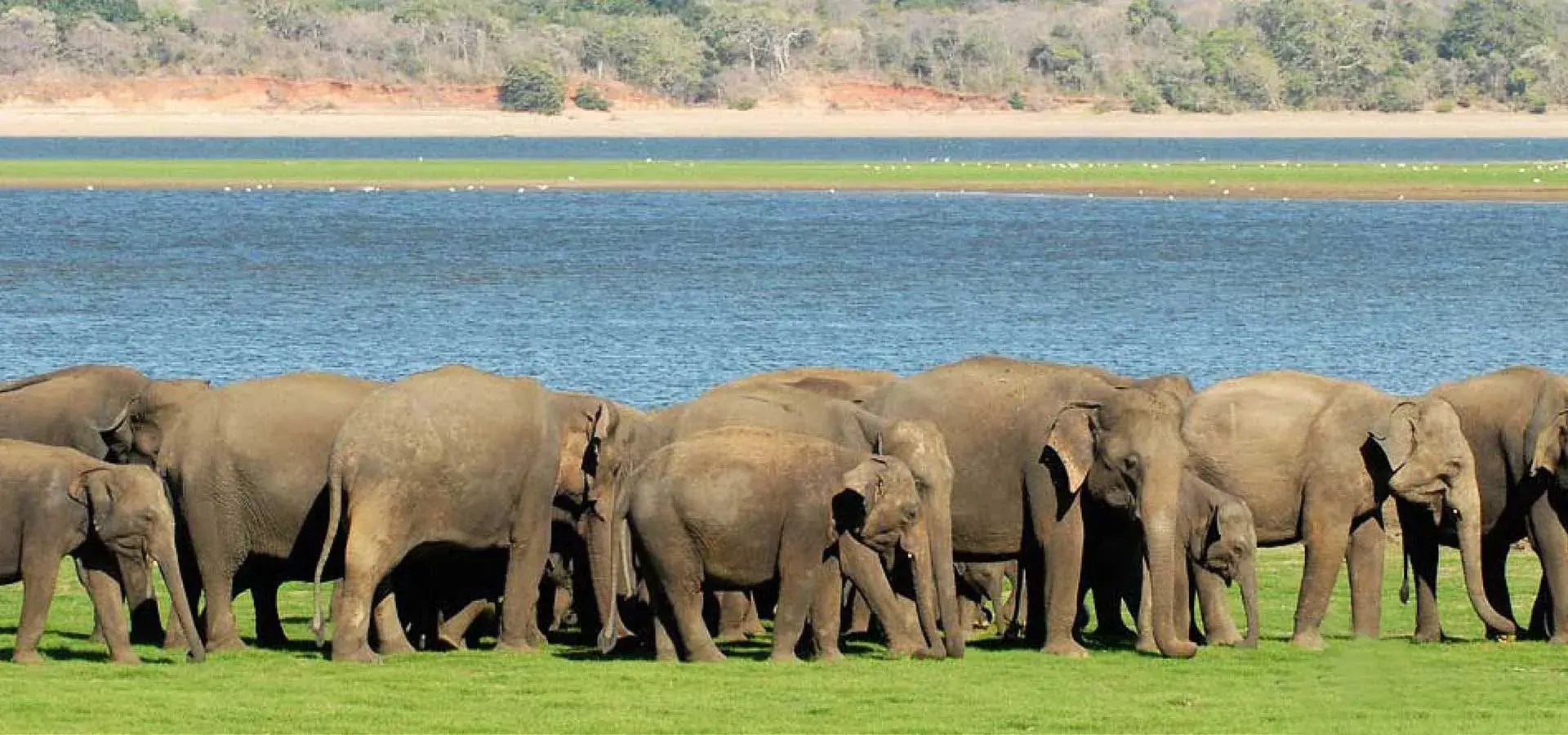 uga ulagalla thirappane sri lanka indischer subkontinent natur exklusiv the family project luxus familie kinder reisen