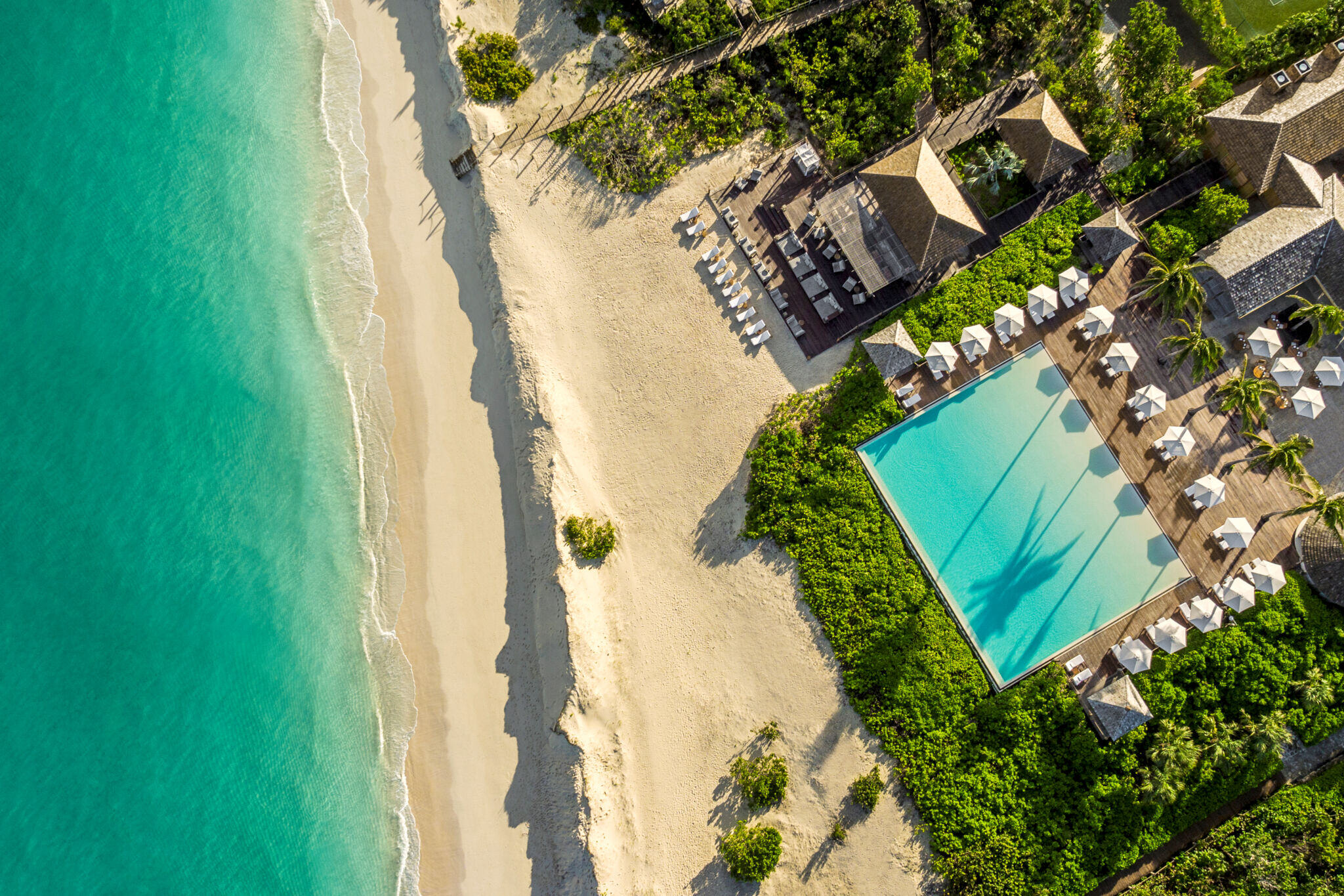 como parrot cay pool birdview