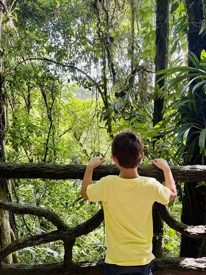 nayara tented camp arenal costa rica ubersicht the family project privatbilder dschungel ausblick