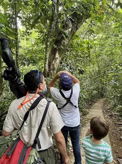 nayara tented camp arenal costa rica ubersicht the family project privatbilder dschungelwanderung